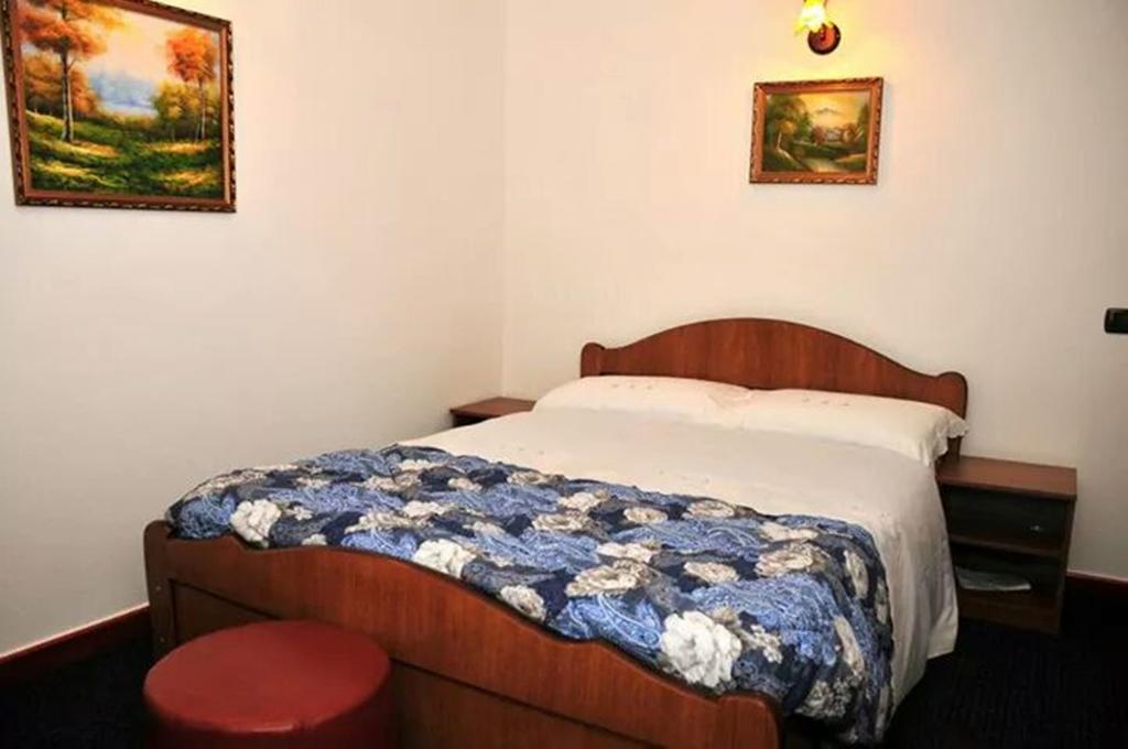 Pensiunea Nordica 3*