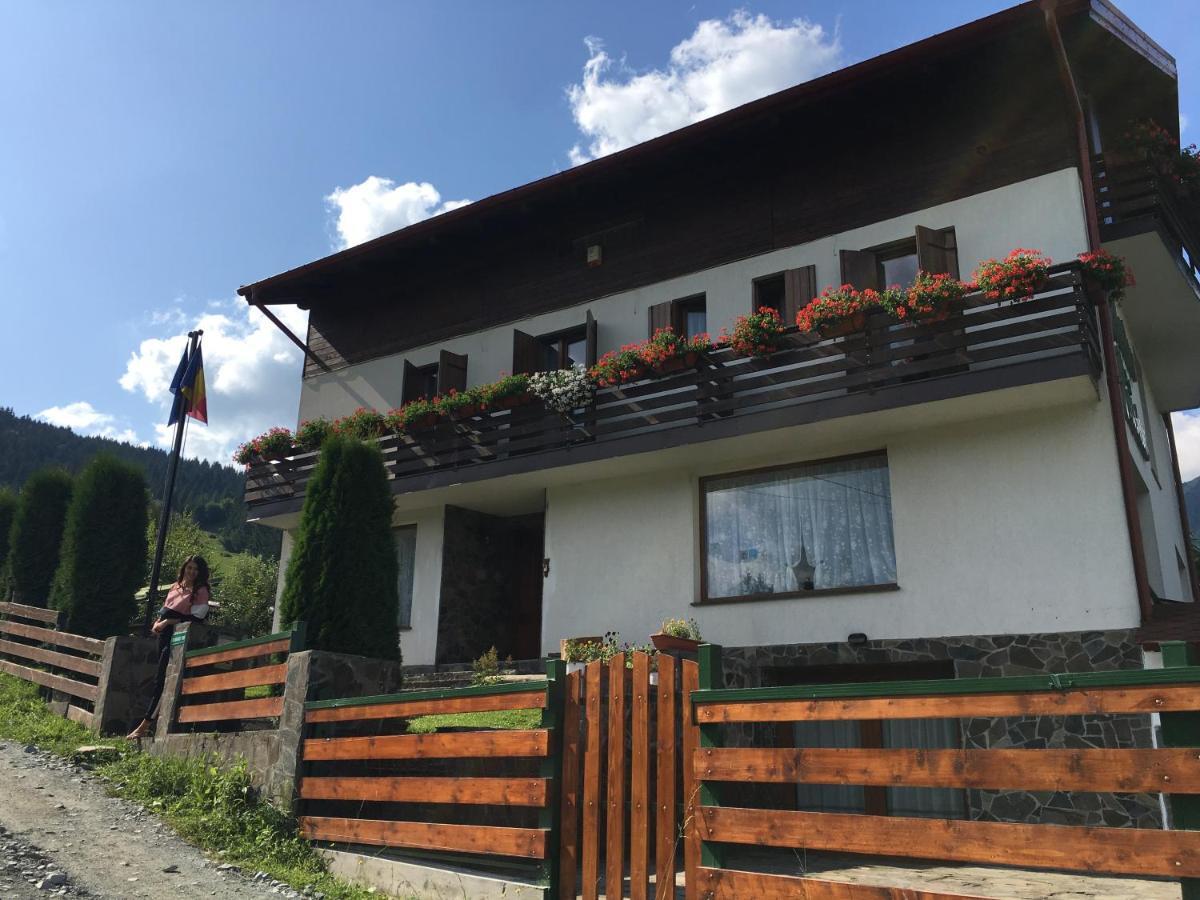 Pensiunea Nordica 3* Statjunea Borsa