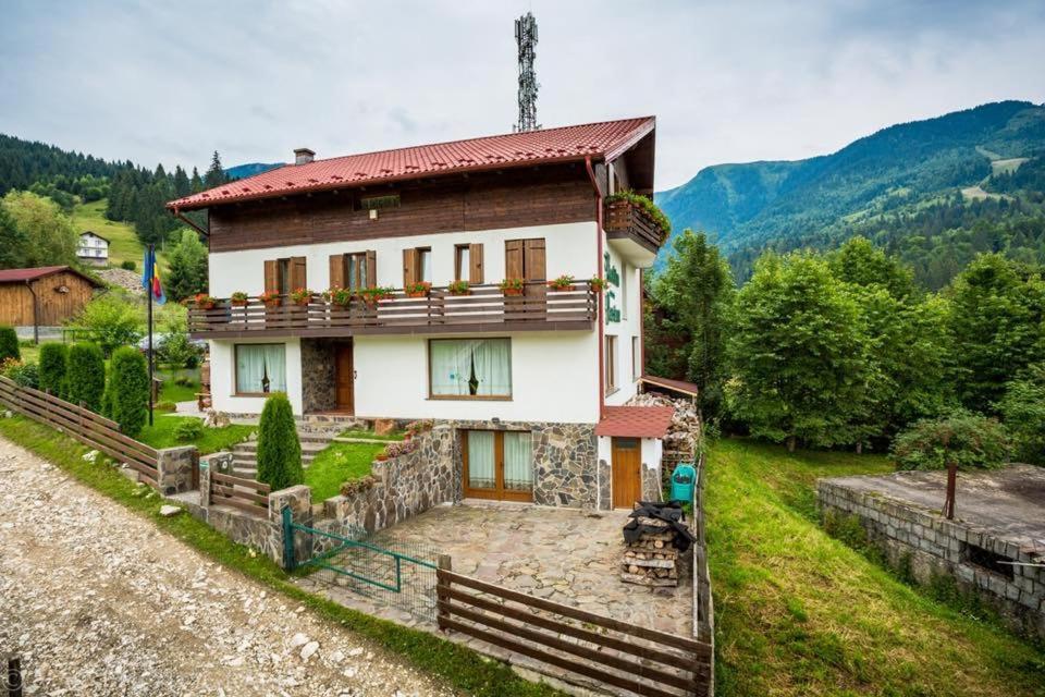 Pensiunea Nordica 3* Statjunea Borsa