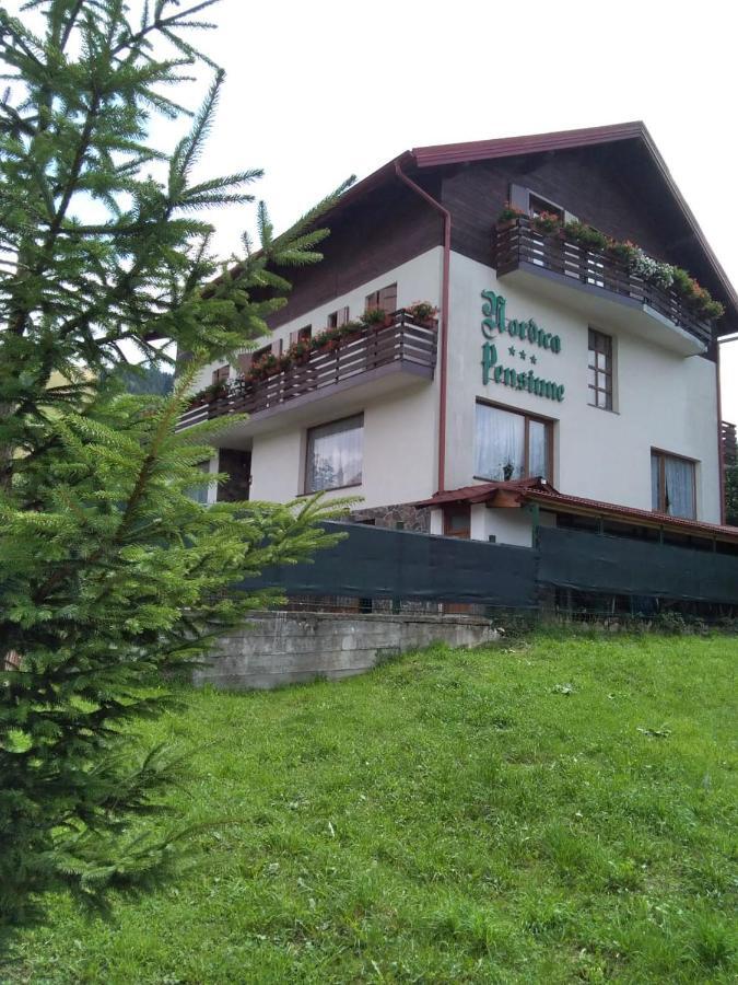 Pensiunea Nordica 3* Statjunea Borsa